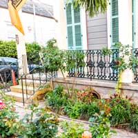 Porch of house with plants and shrubs